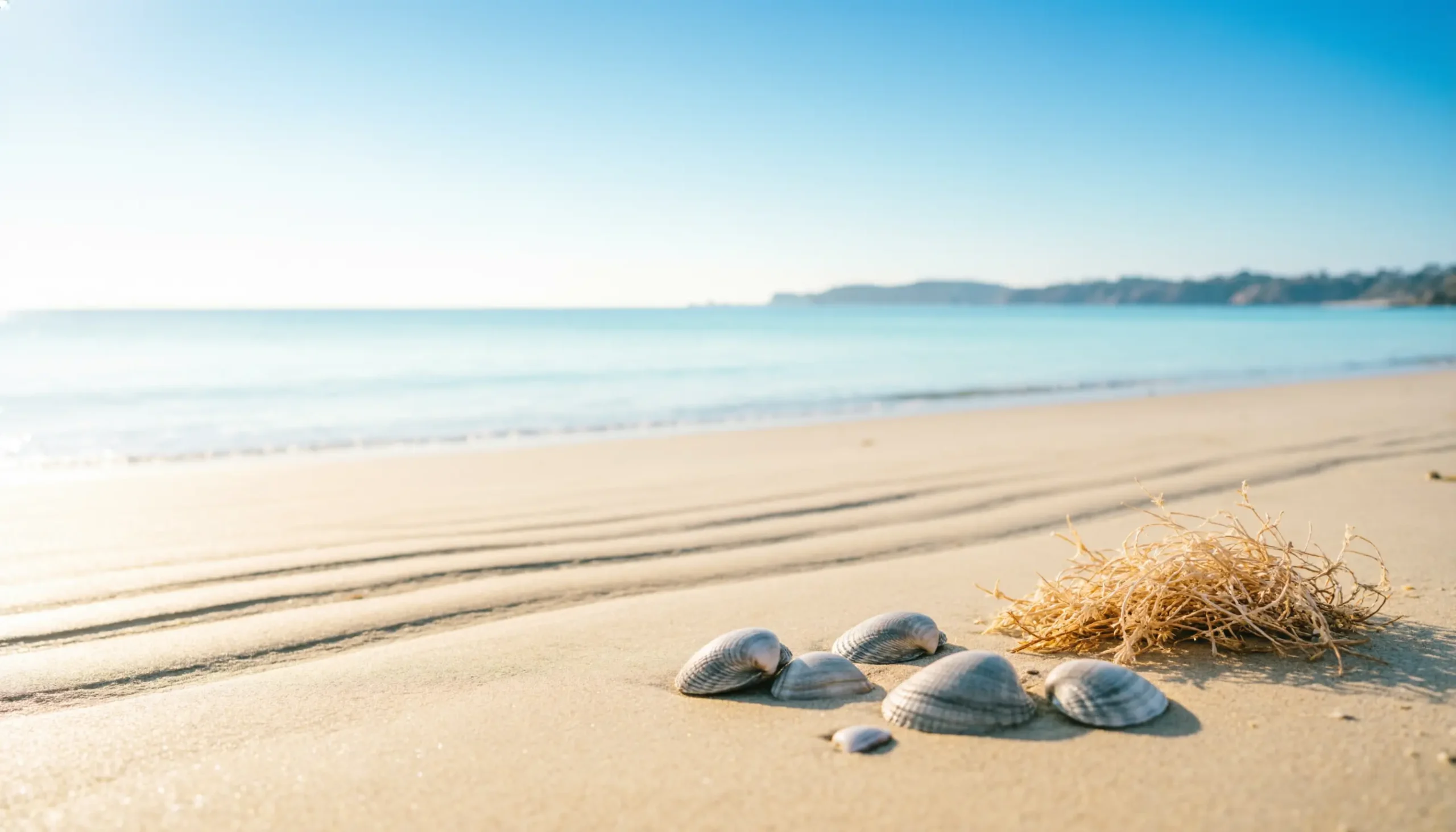 short beach caption 2025